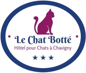 LE CHAT BOTTÉ